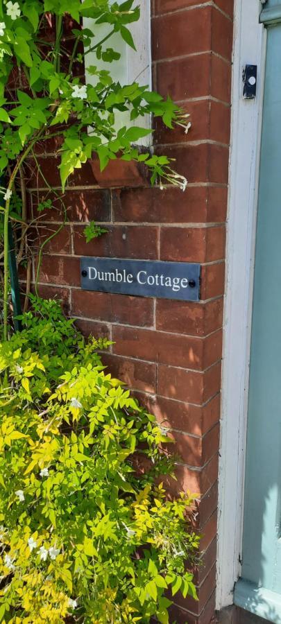 Dumble Cottage Minehead Exteriér fotografie